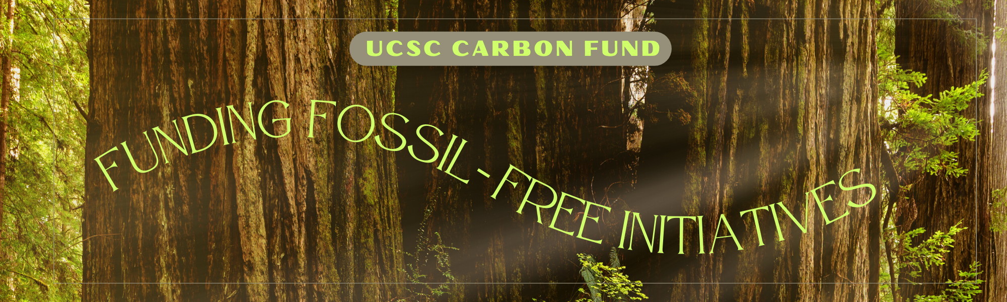 Carbonfund About Banner 