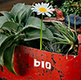 Biofuel Tank (tank with plants and flower)